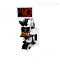 五波段LED荧光显微镜 FM-YG100