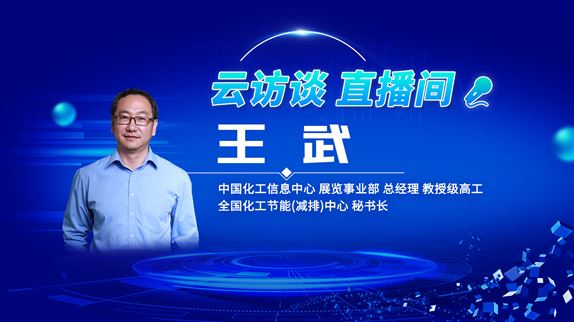 云访谈——专访全国化工节能（减排）中心秘书长王武